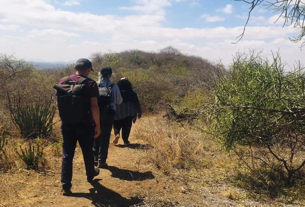 Arusha National Park safari destination in Tanzania