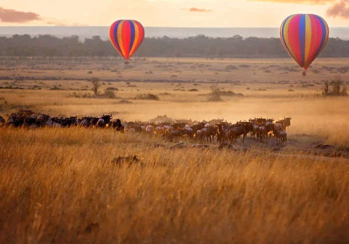 Hot air balloon over wildebeest herd during a Great Migration safari in Serengeti