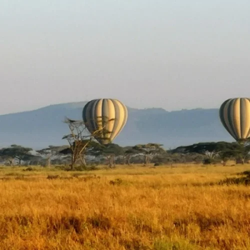 Ultimate northern Tanzania safari over sweeping savannah landscapes