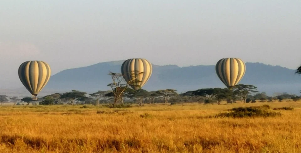 Ultimate northern Tanzania safari over sweeping savannah landscapes