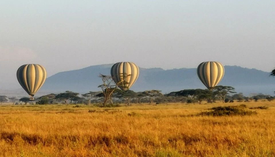 Ultimate northern Tanzania safari over sweeping savannah landscapes