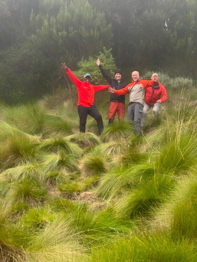 Kilimanjaro Day Hike Day Hikers Grassland Trail Tanzania