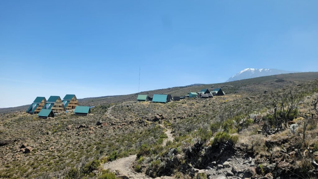 Kilimanjaro Day Hike High Altitude Huts Mountain View Tanzania