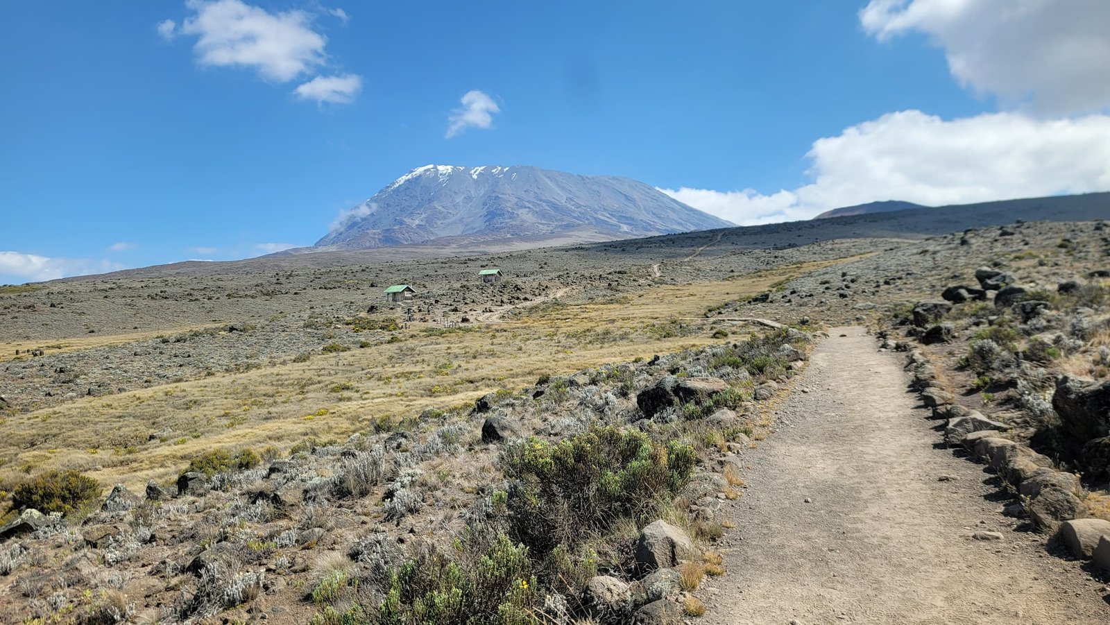 Northern Circuit Kilimanjaro mountain trail and alpine landscape Tanzania