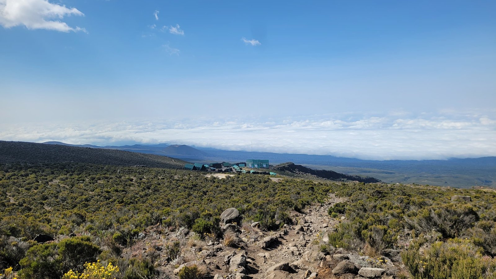 Rongai Route style Kilimanjaro moorland and mountain landscape Tanzania