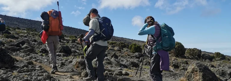 Barranco Wall Kilimanjaro travel guide by Everyday Safaris in Tanzania