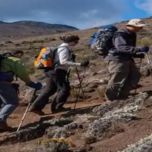 Kilimanjaro umbwe route climbers ascending steep rocky mountain trail tanzania