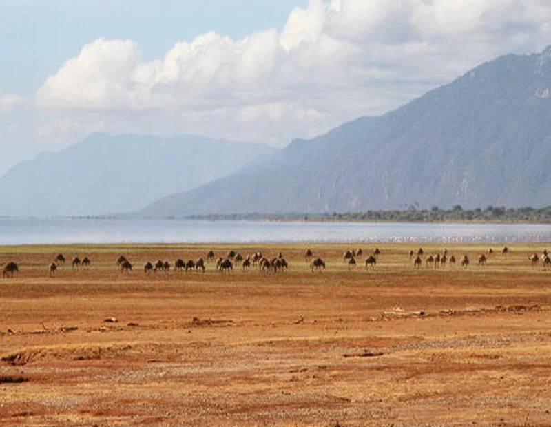 Lake Manyara National Park — related Tanzania destination