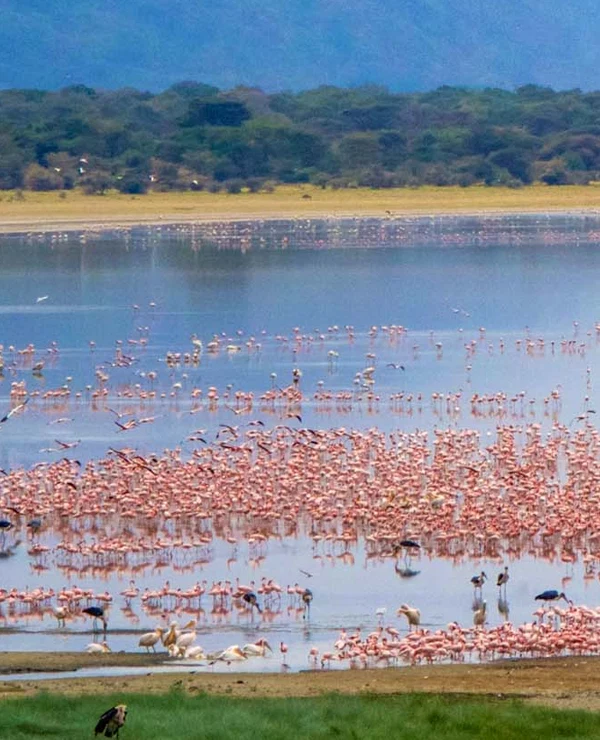 Lake Manyara National Park safari planning