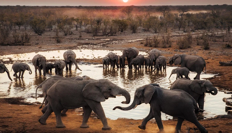 Private Tanzania Safaris