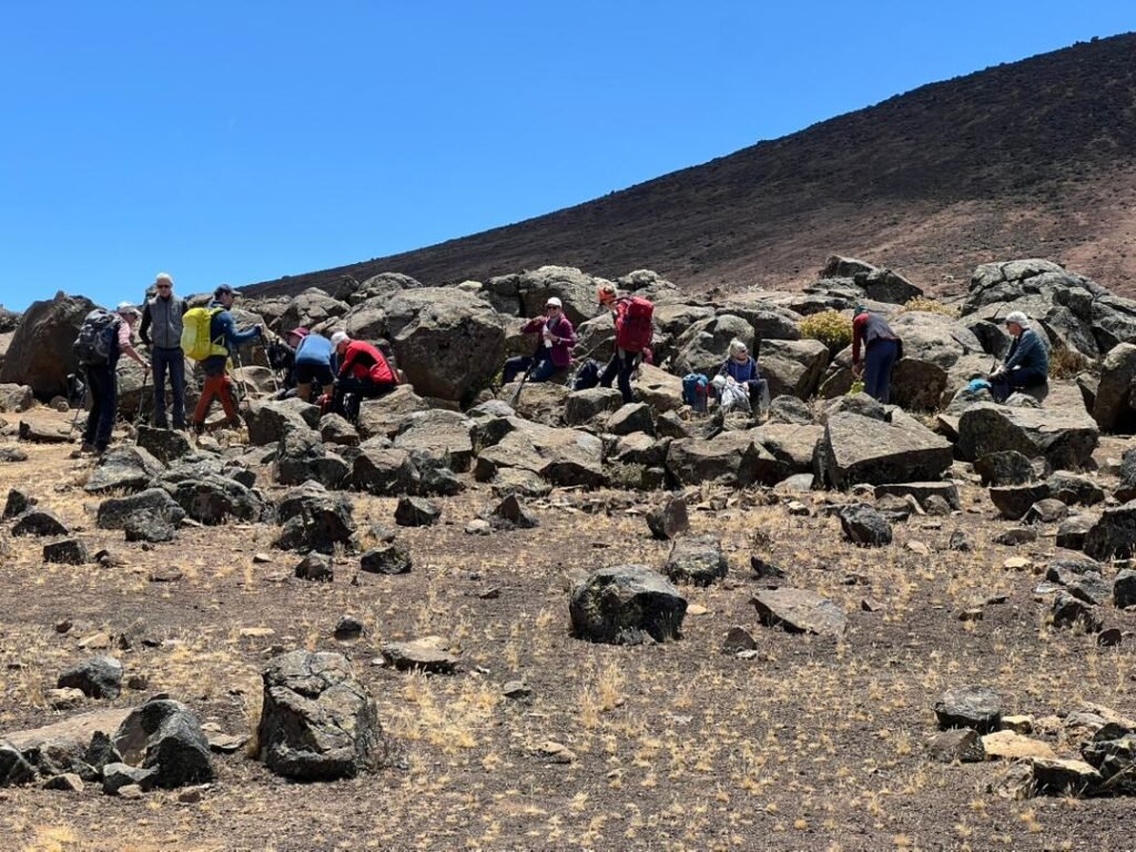 Lemosho Machame Kilimanjaro trekkers resting alpine desert