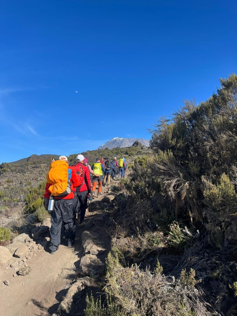 Lemosho Route Kilimanjaro trekking scene