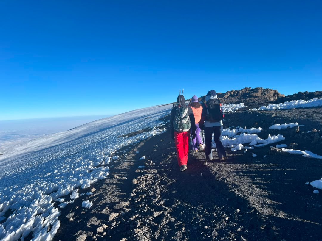 Luxury Lemosho Route Kilimanjaro high altitude trekking expedition Tanzania