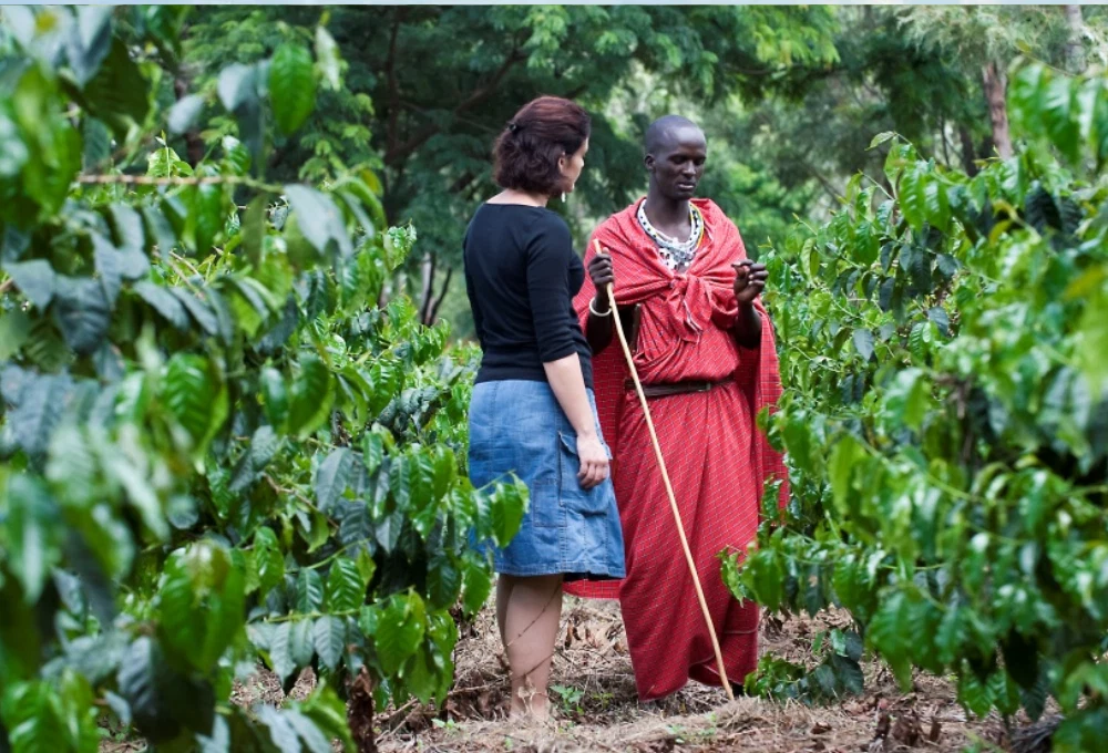 Local cultural experience in northern Tanzania