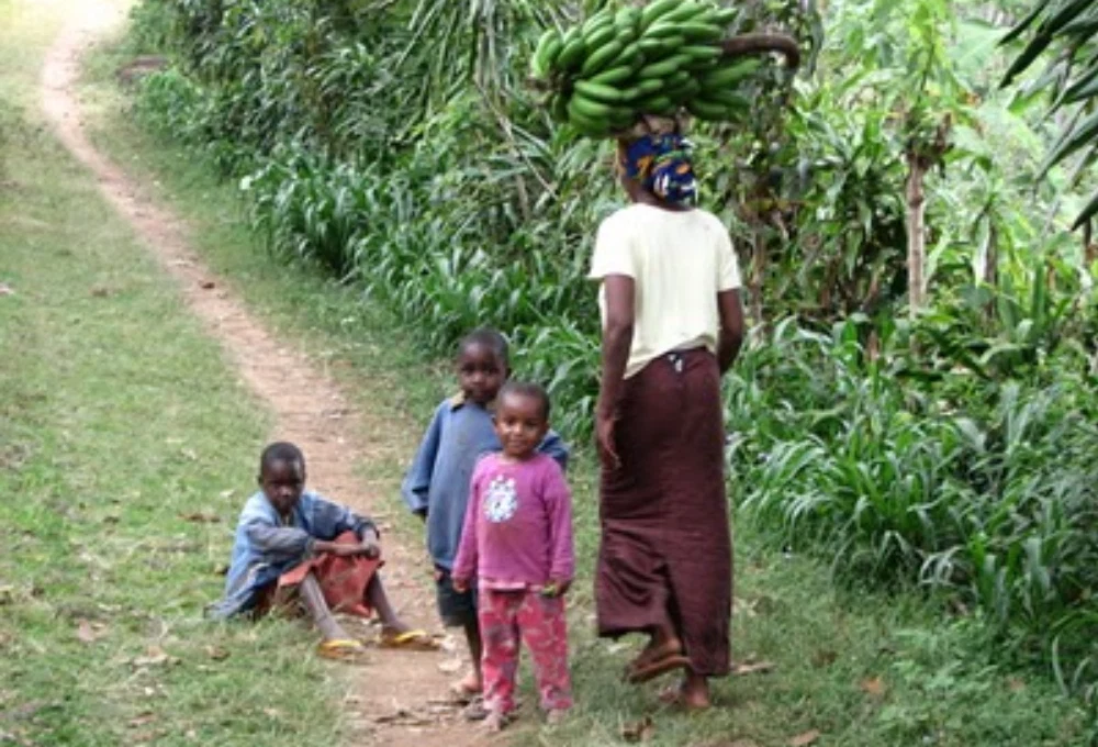 Local tanzania family walking through banana plantation during cultural tour