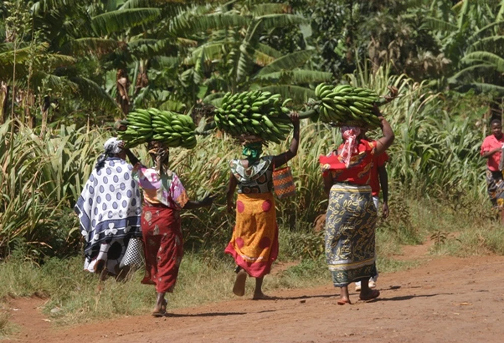 Local cultural experience in northern Tanzania