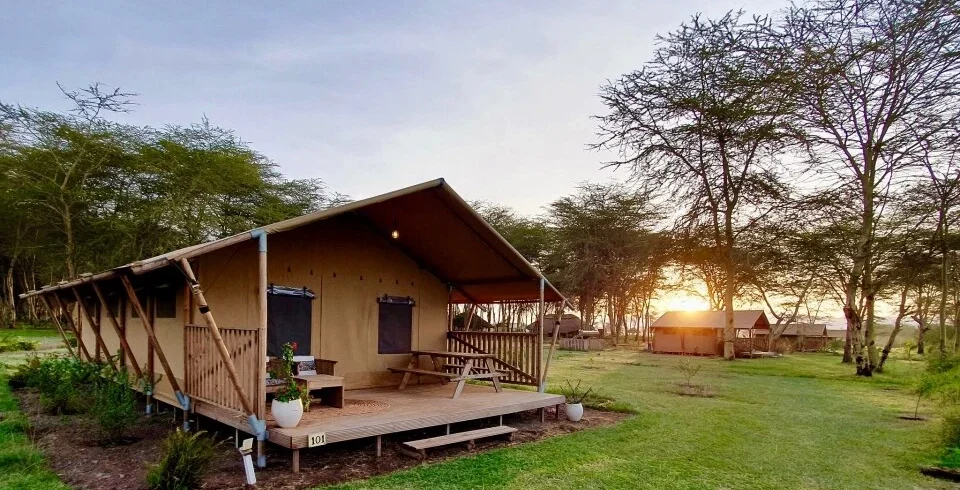 Luxury tented safari camp at sunrise during a Serengeti fly-in safari