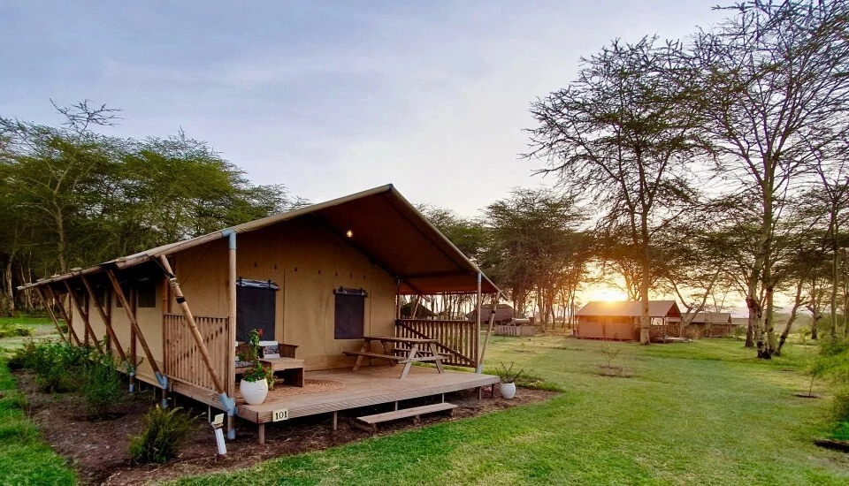 Luxury tented safari camp at sunrise during a Serengeti fly-in safari