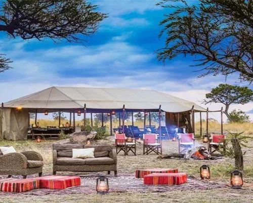 Luxury safari lounge during a Tanzania Big Five safari
