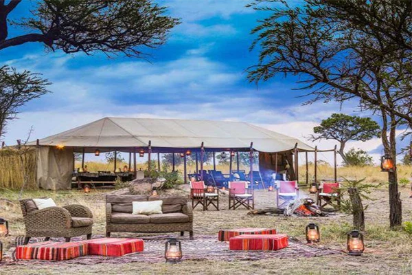 Luxury safari lounge during a Tanzania Big Five safari