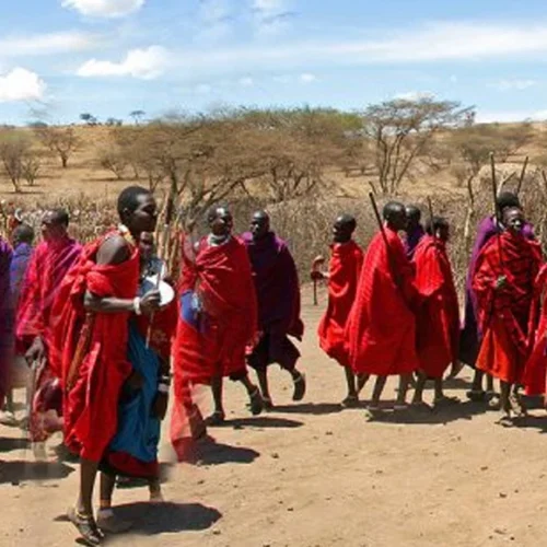 Maasai cultural dance and community experience in northern tanzania
