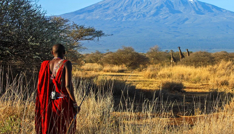 Maasai guide standing on savannah with mount kilimanjaro in background