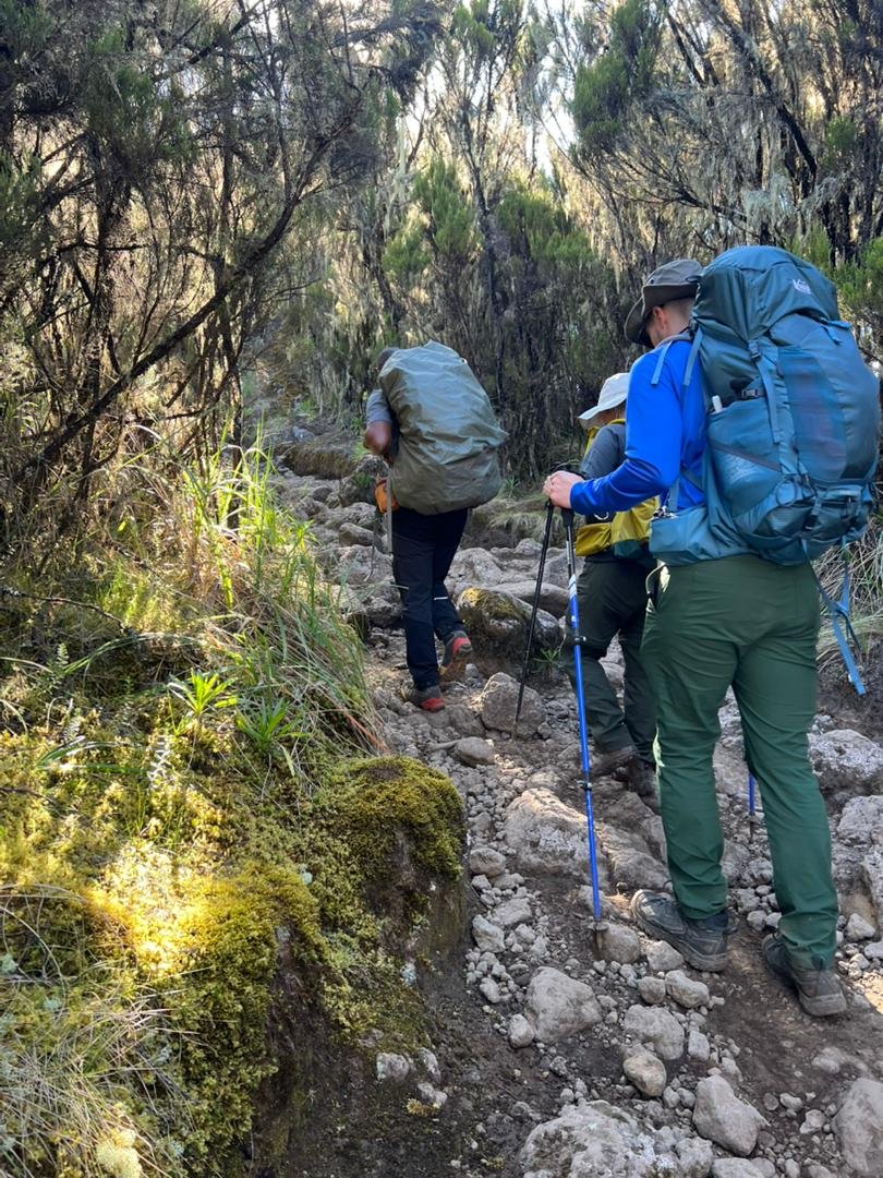 Kilimanjaro trekkers climbing a rocky forest trail