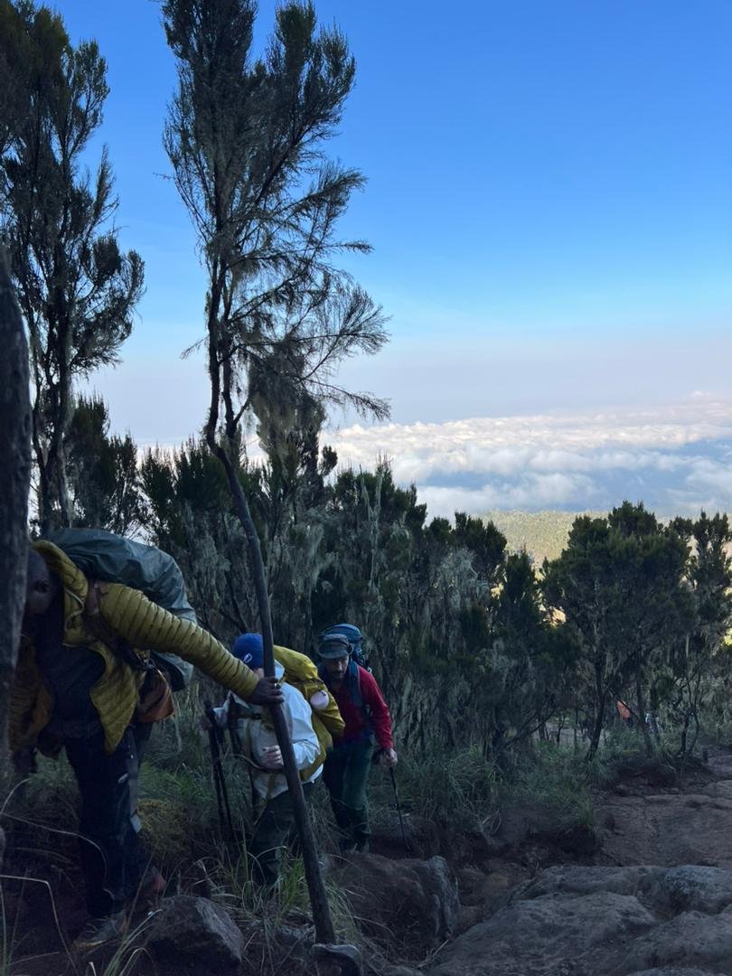 Kilimanjaro trekking landscape for international private-climb travellers and agents