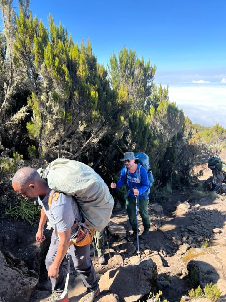 Machame Day Hike Kilimanjaro Guided Hikers Steep Mountain Path Tanzania