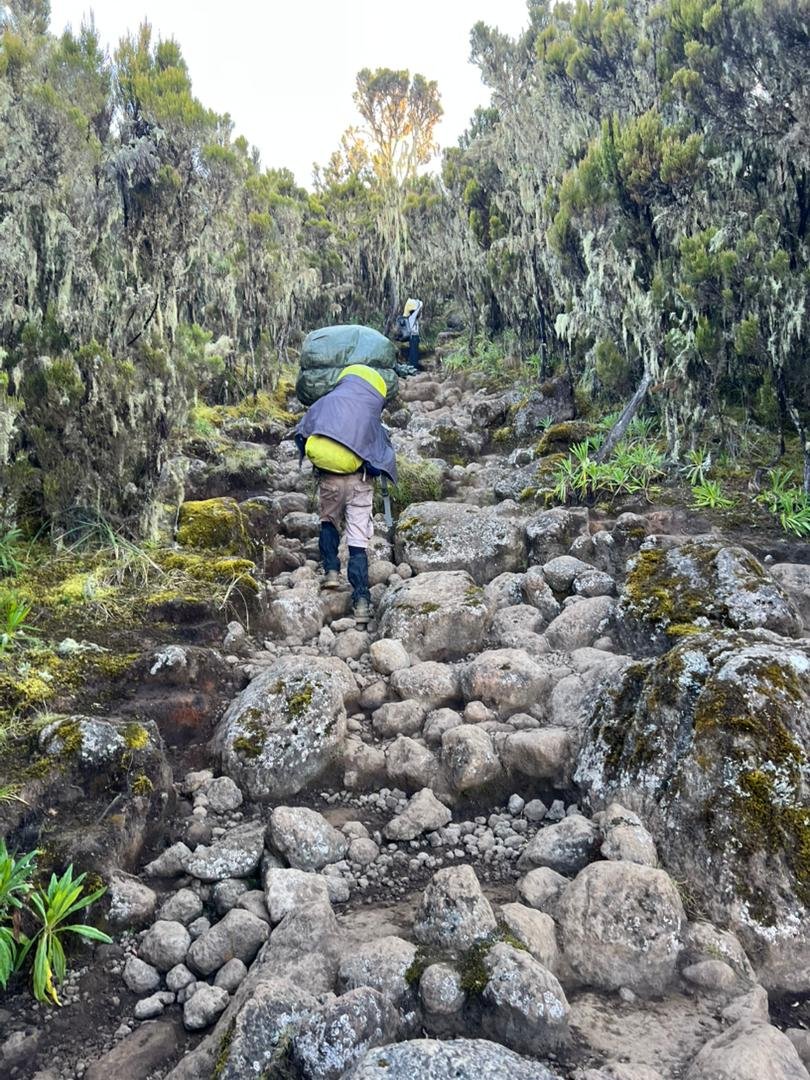 Trekker on a rocky Machame mountain path on Kilimanjaro