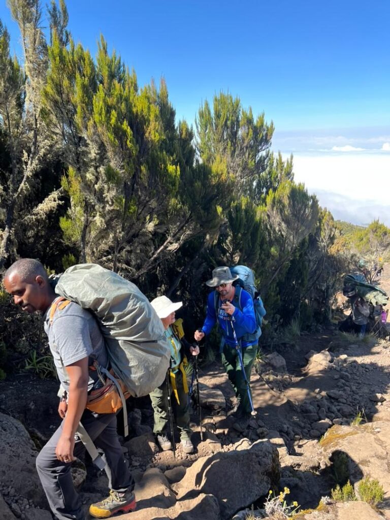 Machame Day Hike Kilimanjaro Steep Moorland Trail Group Tanzania