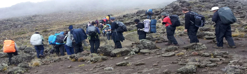 1-Day Kilimanjaro Marangu Route Hike to Mandara Hut