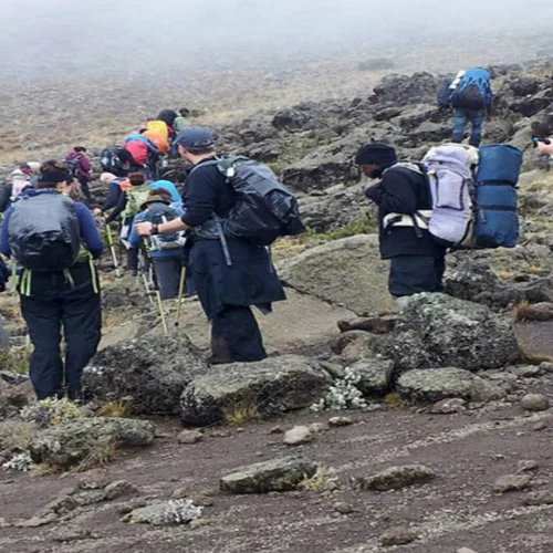 Marangu day hike group crossing rocky kilimanjaro mountain terrain