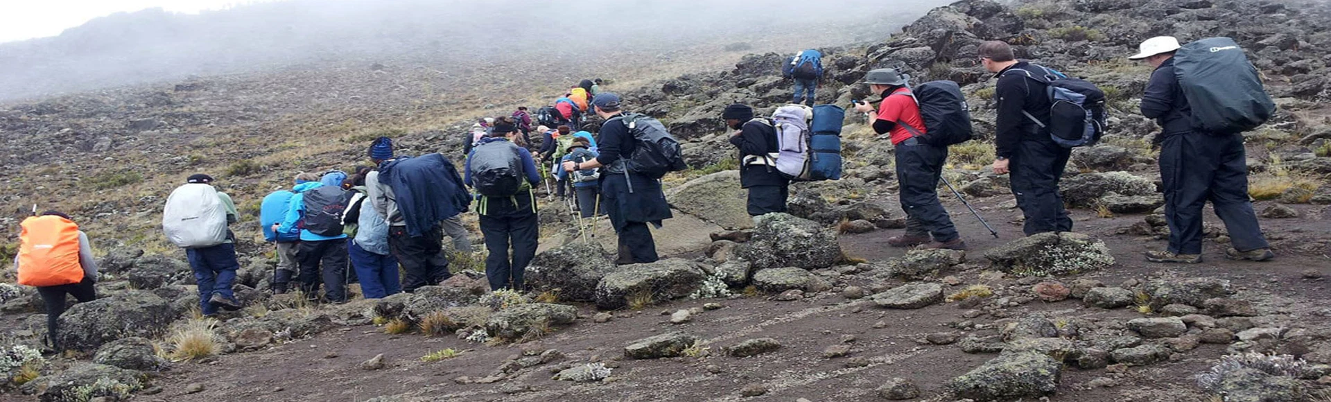 1-Day Kilimanjaro Marangu Route Hike to Mandara Hut