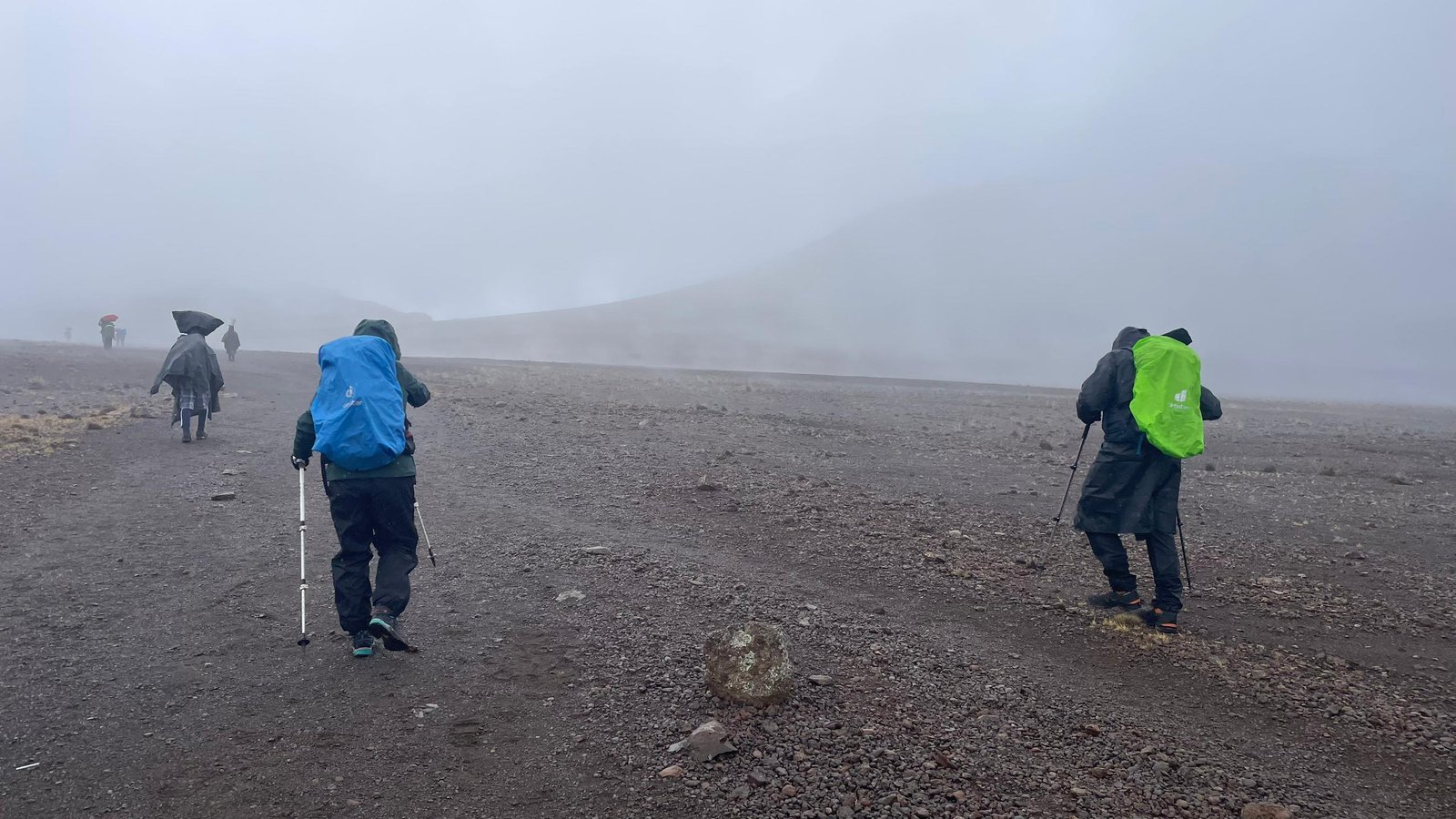 Kilimanjaro trekkers moving through high-altitude fog