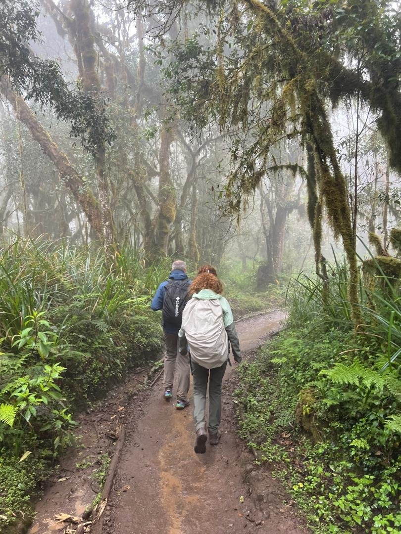 Kilimanjaro trekkers in exposed high-altitude terrain