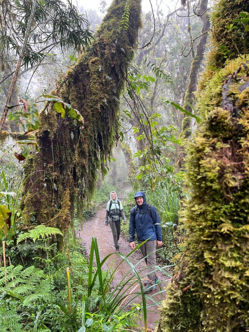 Kilimanjaro safety & health planning photograph
