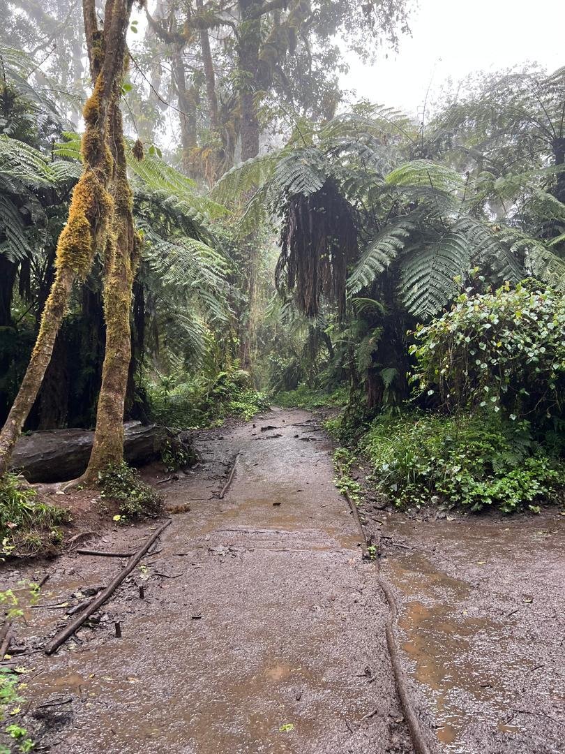 Kilimanjaro weather & best time planning photograph