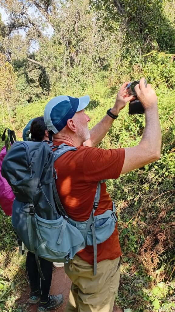 Marangu Route Kilimanjaro Trekker Photographing Rainforest Tanzania