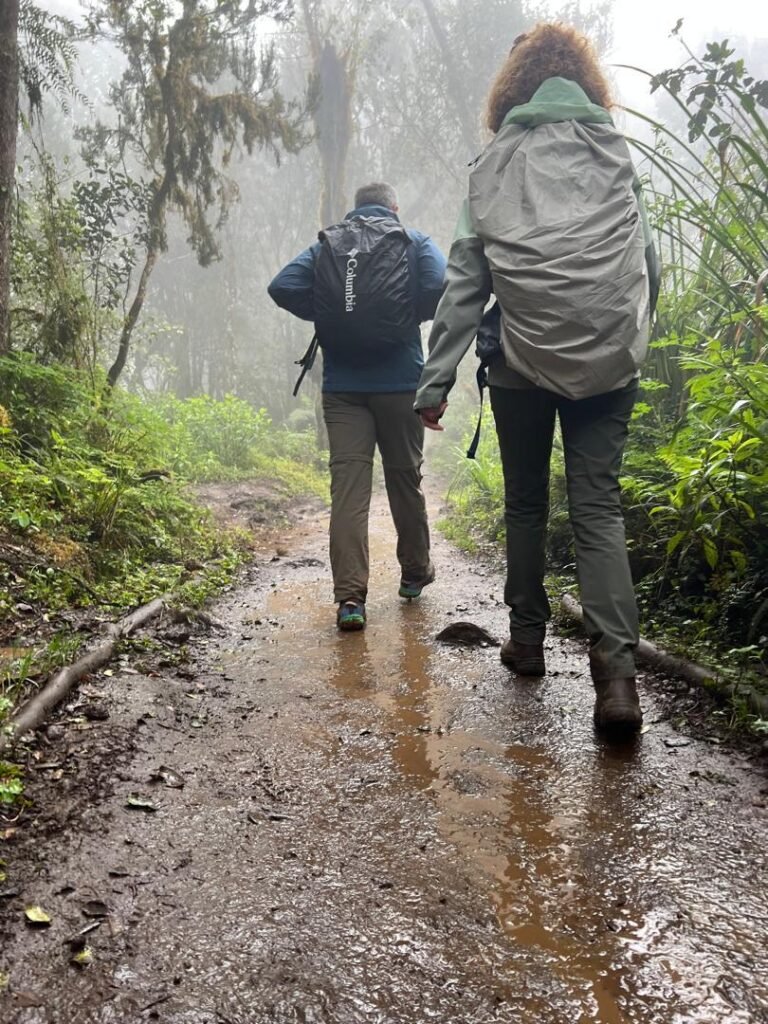 Marangu Route Kilimanjaro Trekkers Wet Forest Trail Rear View Tanzania