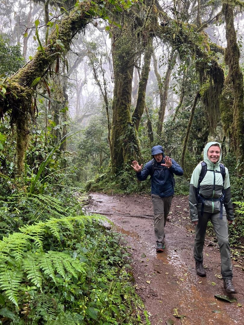 Marangu Route Kilimanjaro hikers walking through misty rainforest