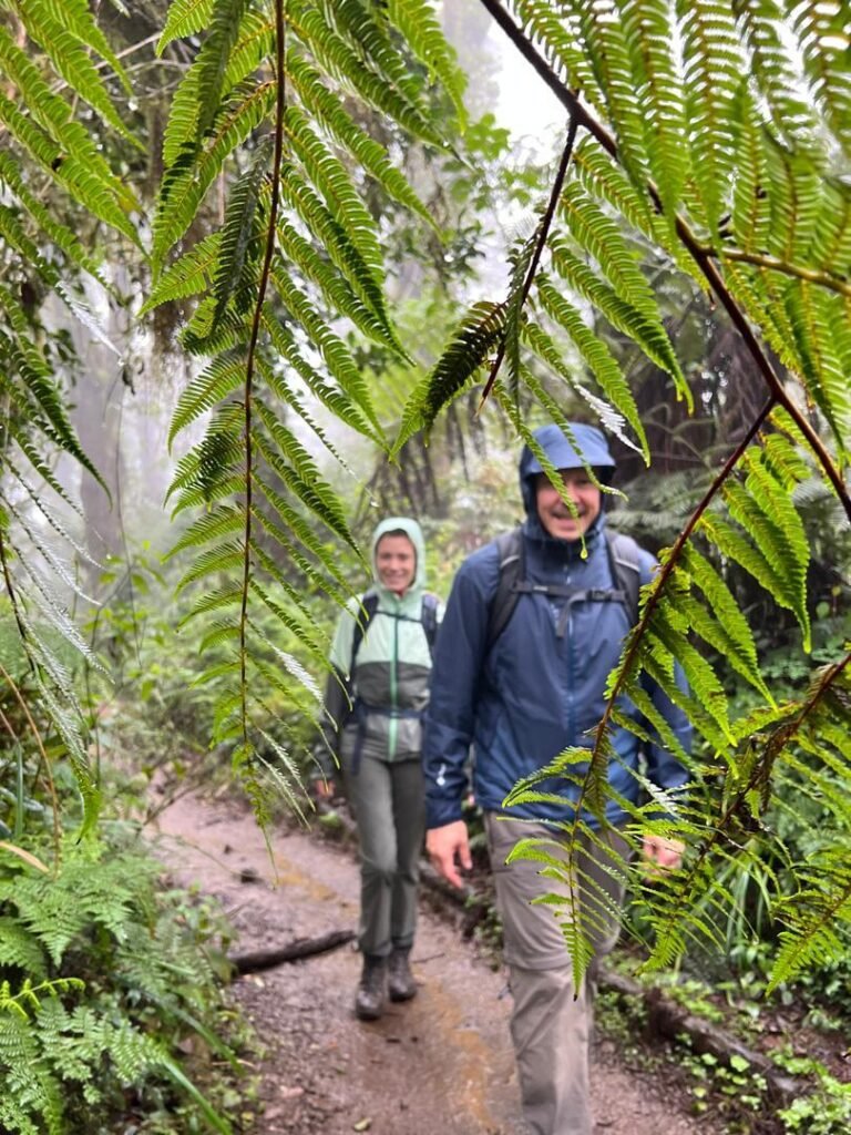 Marangu Route Kilimanjaro Two Trekkers Giant Fern Route Tanzania