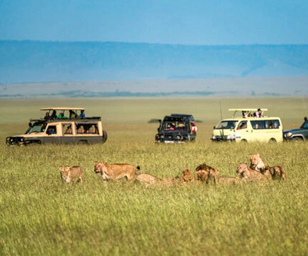Moshi vs Arusha Kilimanjaro travel guide by Everyday Safaris in Tanzania