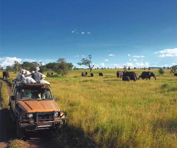 Modern four wheel drive tanzania safari vehicles for private wildlife game drives alternate view 03
