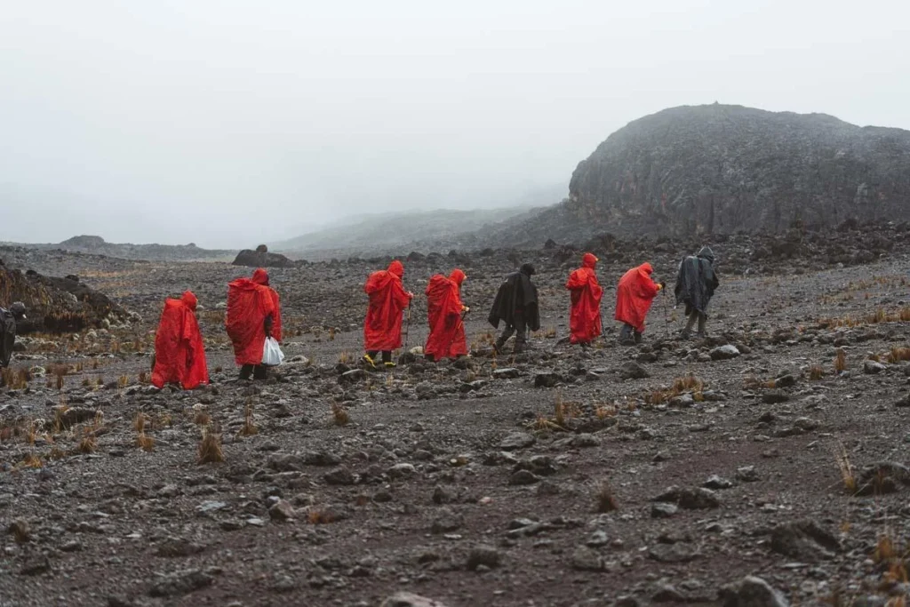 Mount kilimanjaro lemosho route scenic high altitude climbing and trekking adventure tanzania alternate view 02