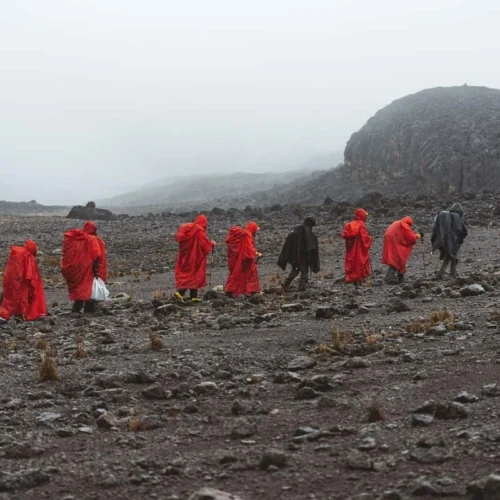 Mount kilimanjaro lemosho route scenic high altitude climbing and trekking adventure tanzania alternate view 02