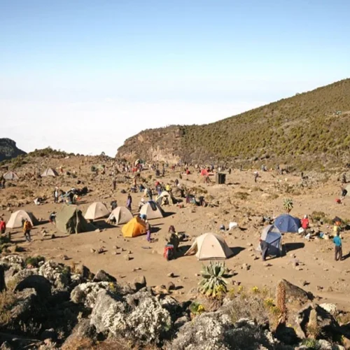 Mount kilimanjaro machame route scenic high altitude climbing and trekking adventure tanzania alternate view 03