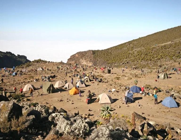 Kilimanjaro weather by altitude travel guide by Everyday Safaris in Tanzania