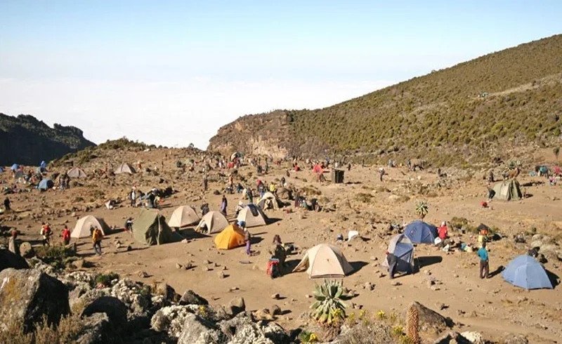 Mount kilimanjaro machame route scenic high altitude climbing and trekking adventure tanzania alternate view 03