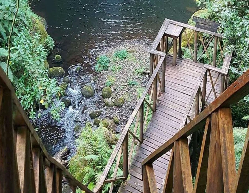 2-Day Kilimanjaro Marangu Route Trek to Horombo Area